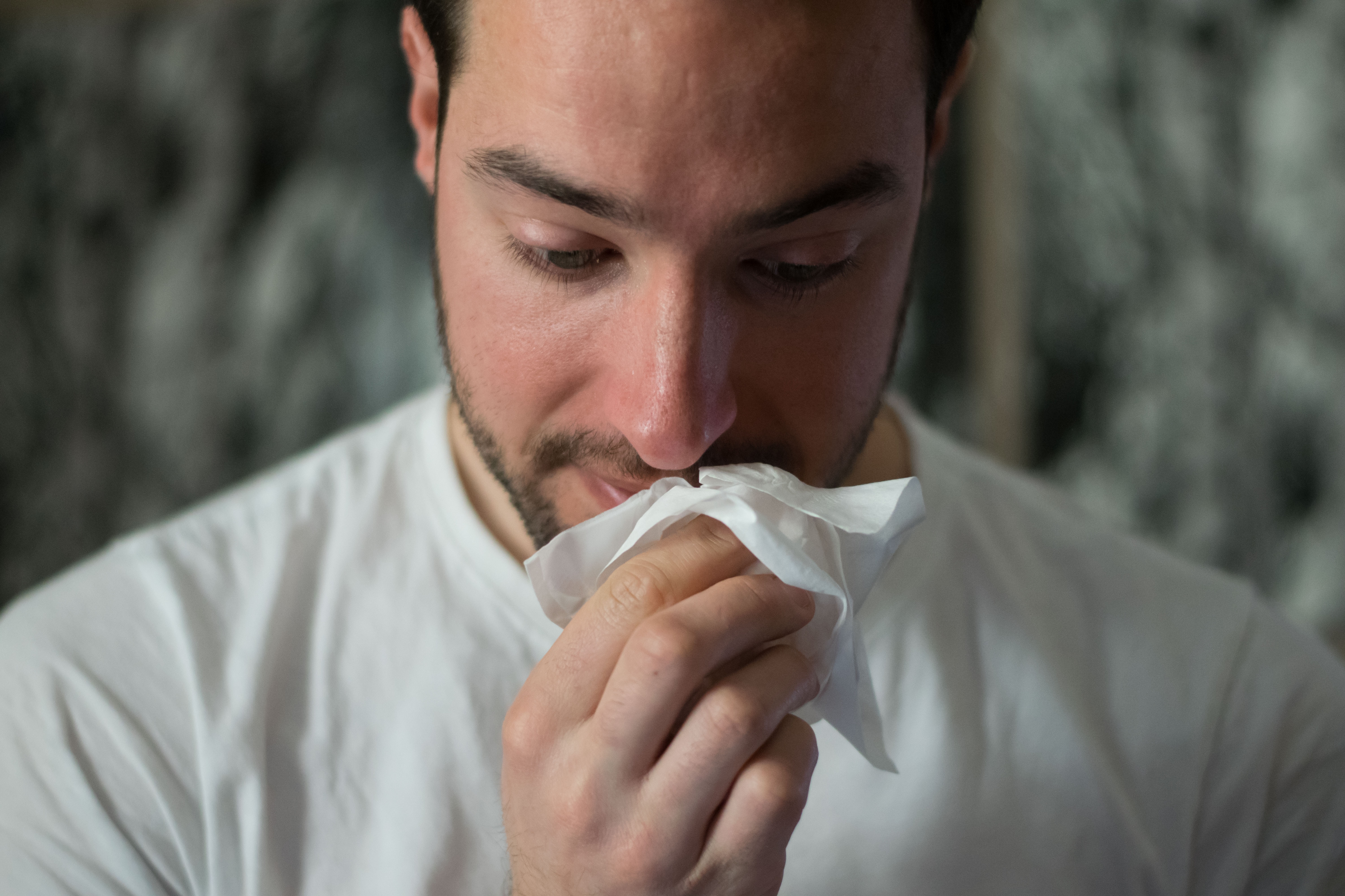 Alergijski rinitis ali navaden prehlad?